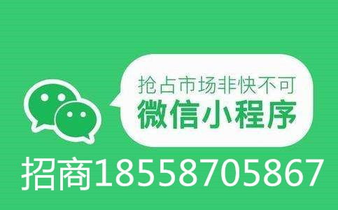 全国微信小程序开发电商直播小程序搭建线上商城